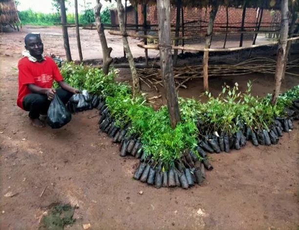 Grants honour Lord over all creation