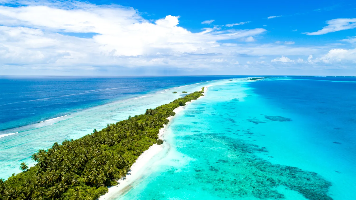 Your First TaxCore World Summit: A Practical Guide to Three Days in Fiji